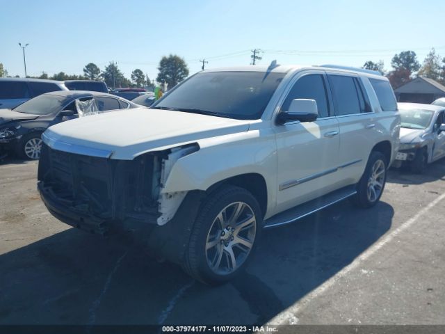 Photo 1 VIN: 1GYS4MKJ7FR713437 - CADILLAC ESCALADE 