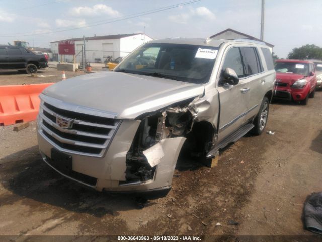 Photo 1 VIN: 1GYS4NKJ0FR602816 - CADILLAC ESCALADE 