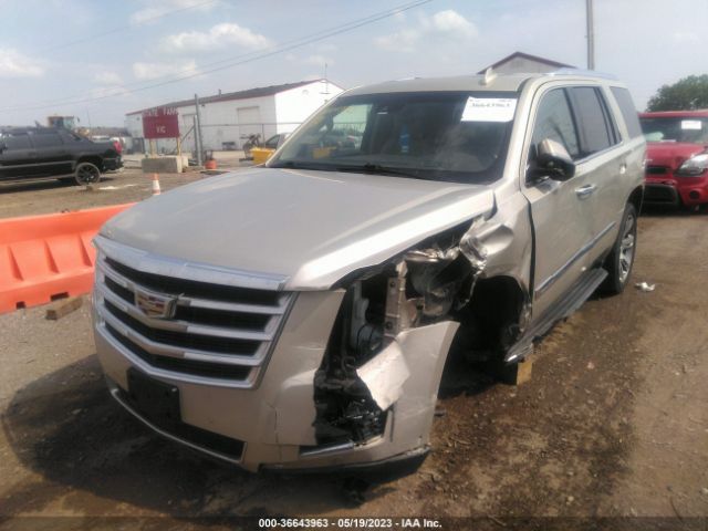 Photo 5 VIN: 1GYS4NKJ0FR602816 - CADILLAC ESCALADE 