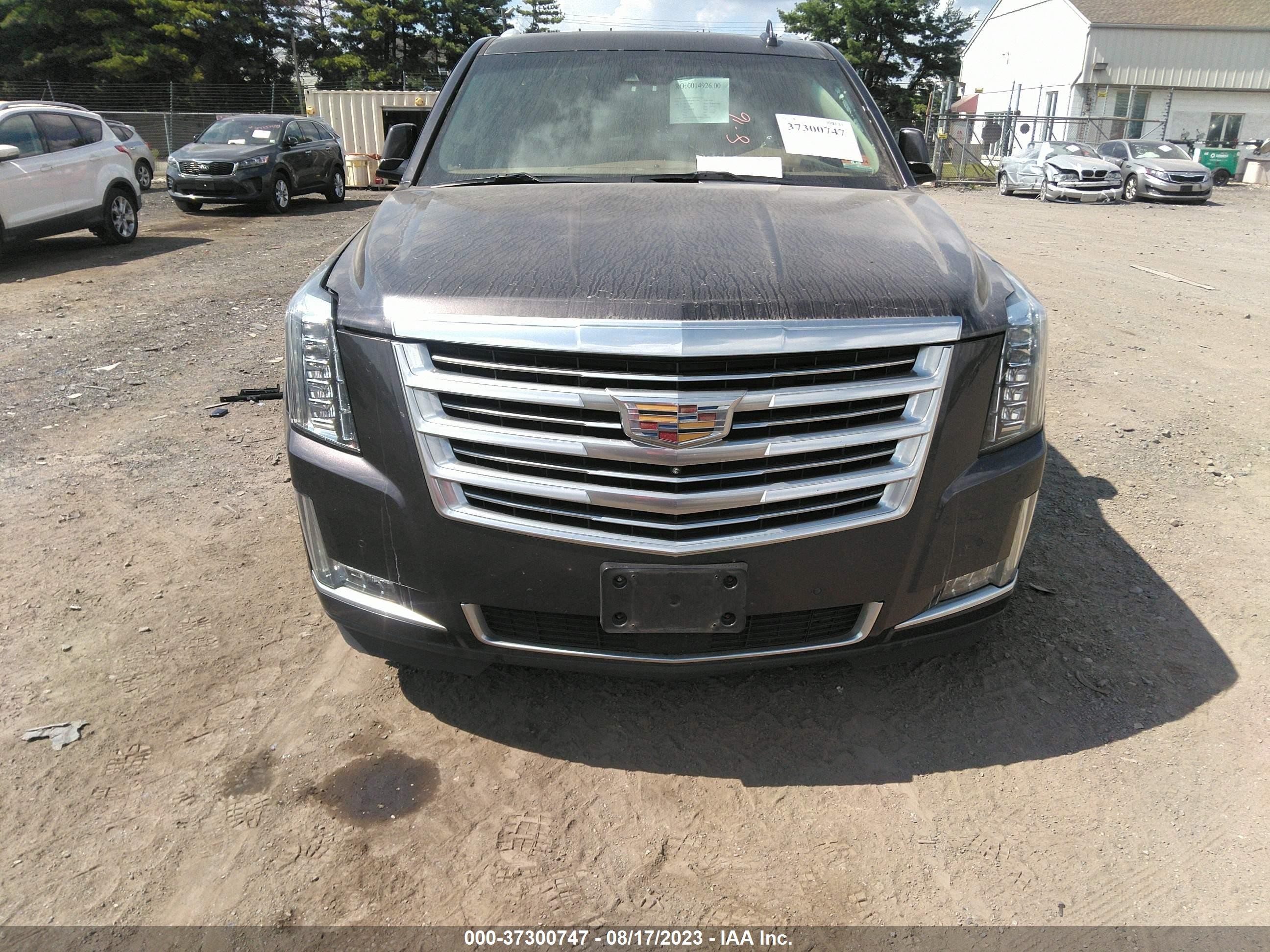 Photo 11 VIN: 1GYS4PKJ9FR731892 - CADILLAC ESCALADE 