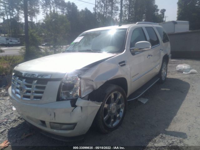 Photo 1 VIN: 1GYUCAEF0AR226512 - CADILLAC ESCALADE 