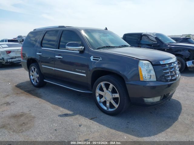 Photo 0 VIN: 1GYUCBEF9AR156014 - CADILLAC ESCALADE 