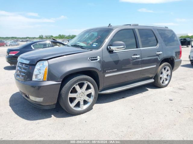 Photo 1 VIN: 1GYUCBEF9AR156014 - CADILLAC ESCALADE 