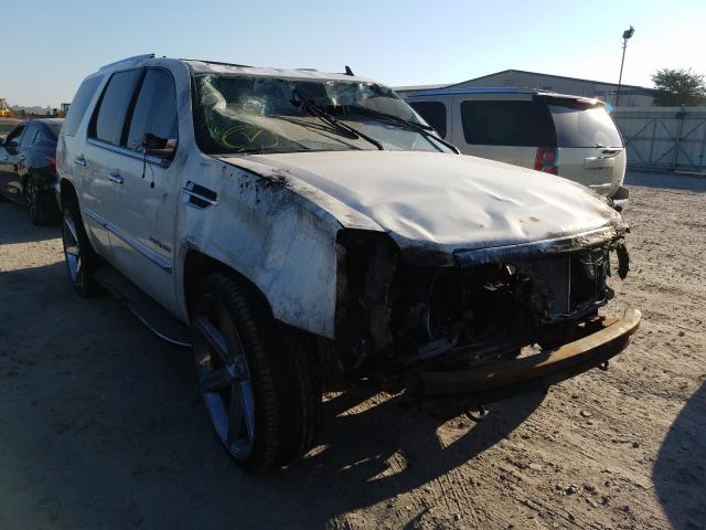 Photo 0 VIN: 1GYUCBEF9AR221024 - CADILLAC ESCALADE L 