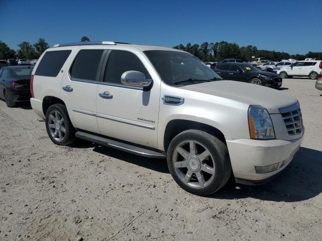 Photo 3 VIN: 1GYUCEEJ9AR210420 - CADILLAC ESCALADE H 