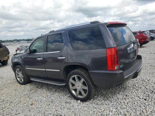 Photo 1 VIN: 1GYUKAEF7AR105138 - CADILLAC ESCALADE 