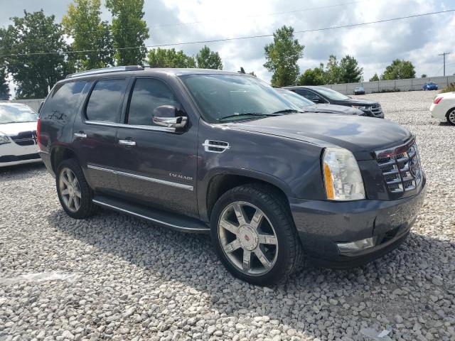 Photo 3 VIN: 1GYUKAEF7AR105138 - CADILLAC ESCALADE 