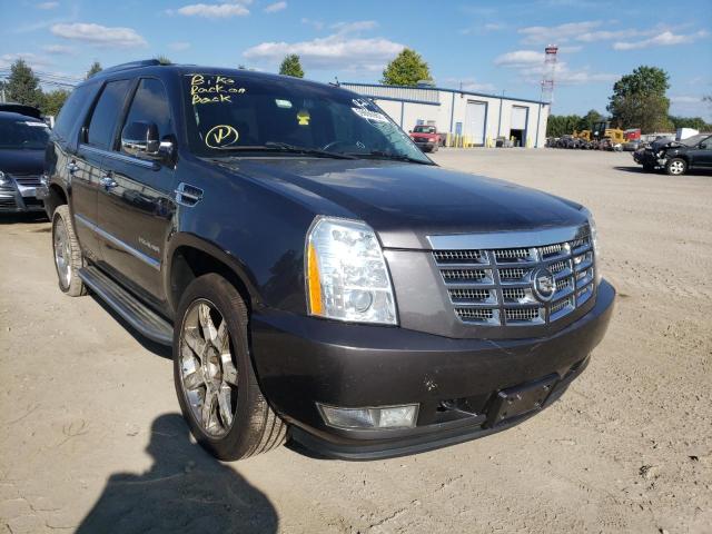 Photo 0 VIN: 1GYUKBEF1AR204401 - CADILLAC ESCALADE L 