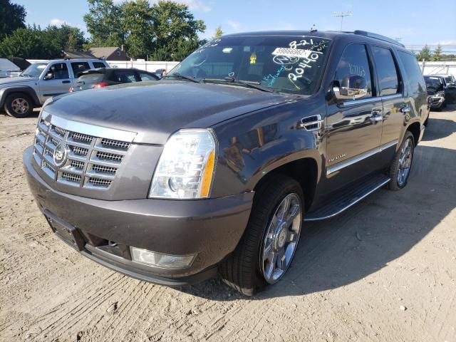 Photo 1 VIN: 1GYUKBEF1AR204401 - CADILLAC ESCALADE L 