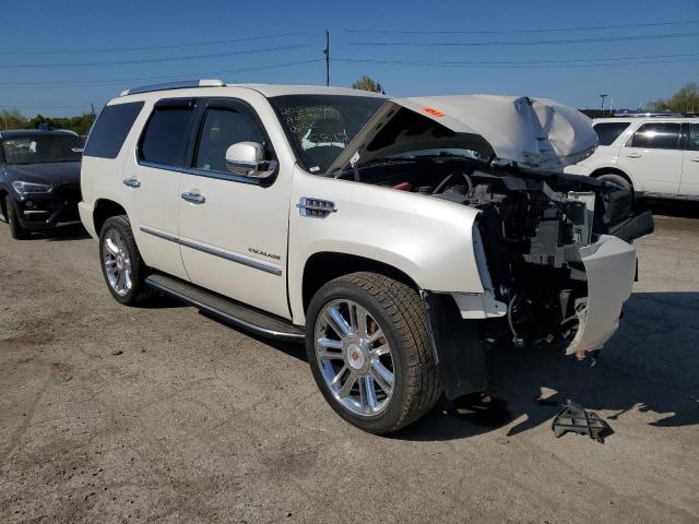 Photo 3 VIN: 1GYUKBEF2AR258192 - CADILLAC ESCALADE L 