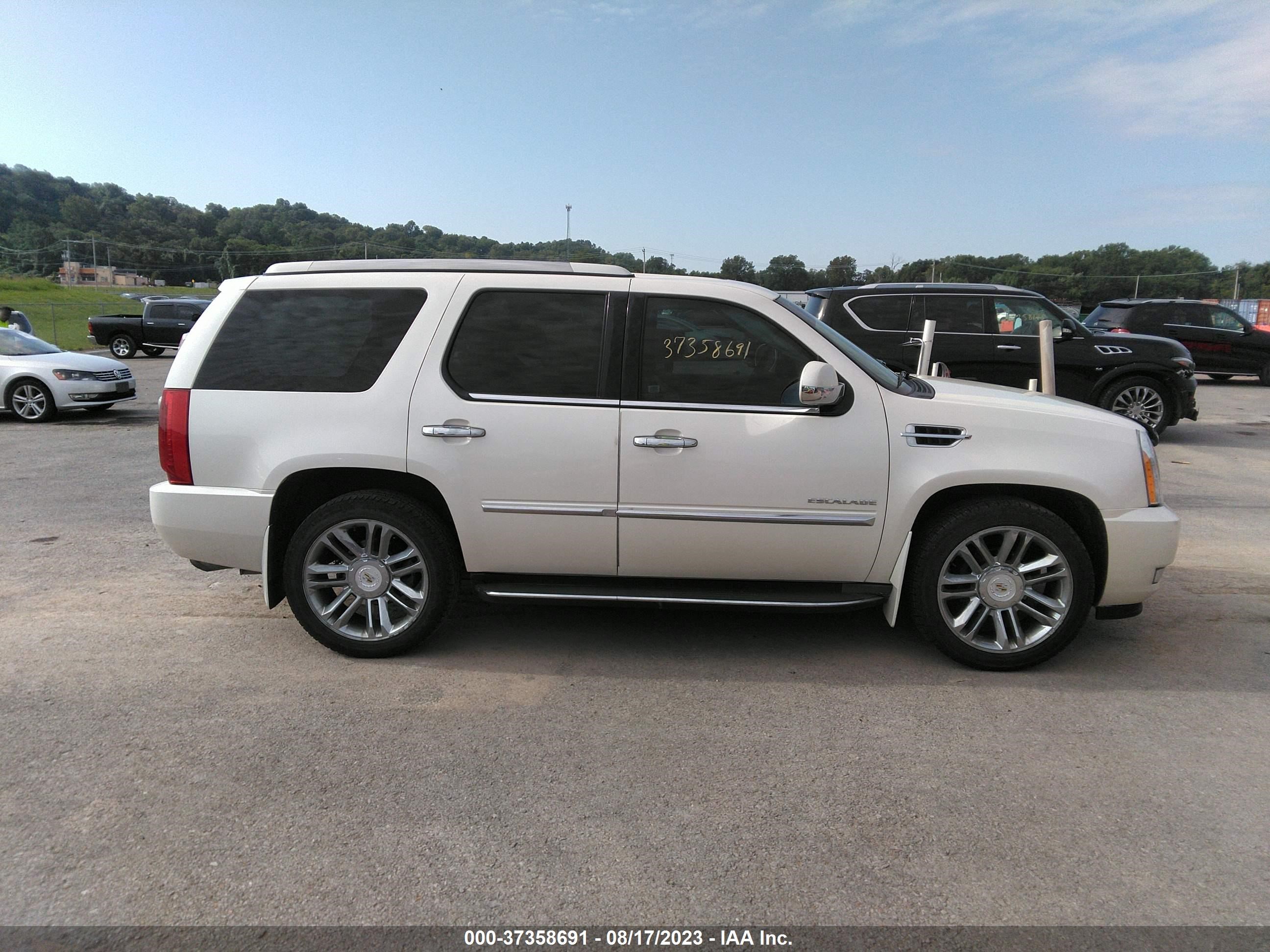 Photo 12 VIN: 1GYUKBEF2AR276644 - CADILLAC ESCALADE 