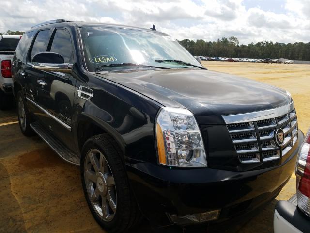 Photo 0 VIN: 1GYUKBEF3AR148722 - CADILLAC ESCALADE L 