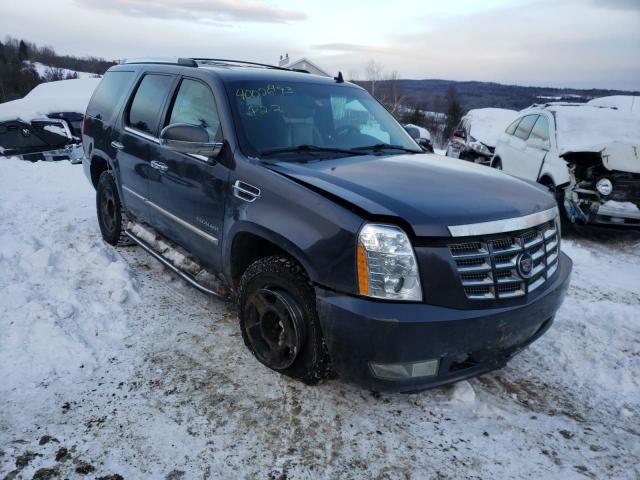 Photo 3 VIN: 1GYUKBEF4AR103630 - CADILLAC ESCALADE L 