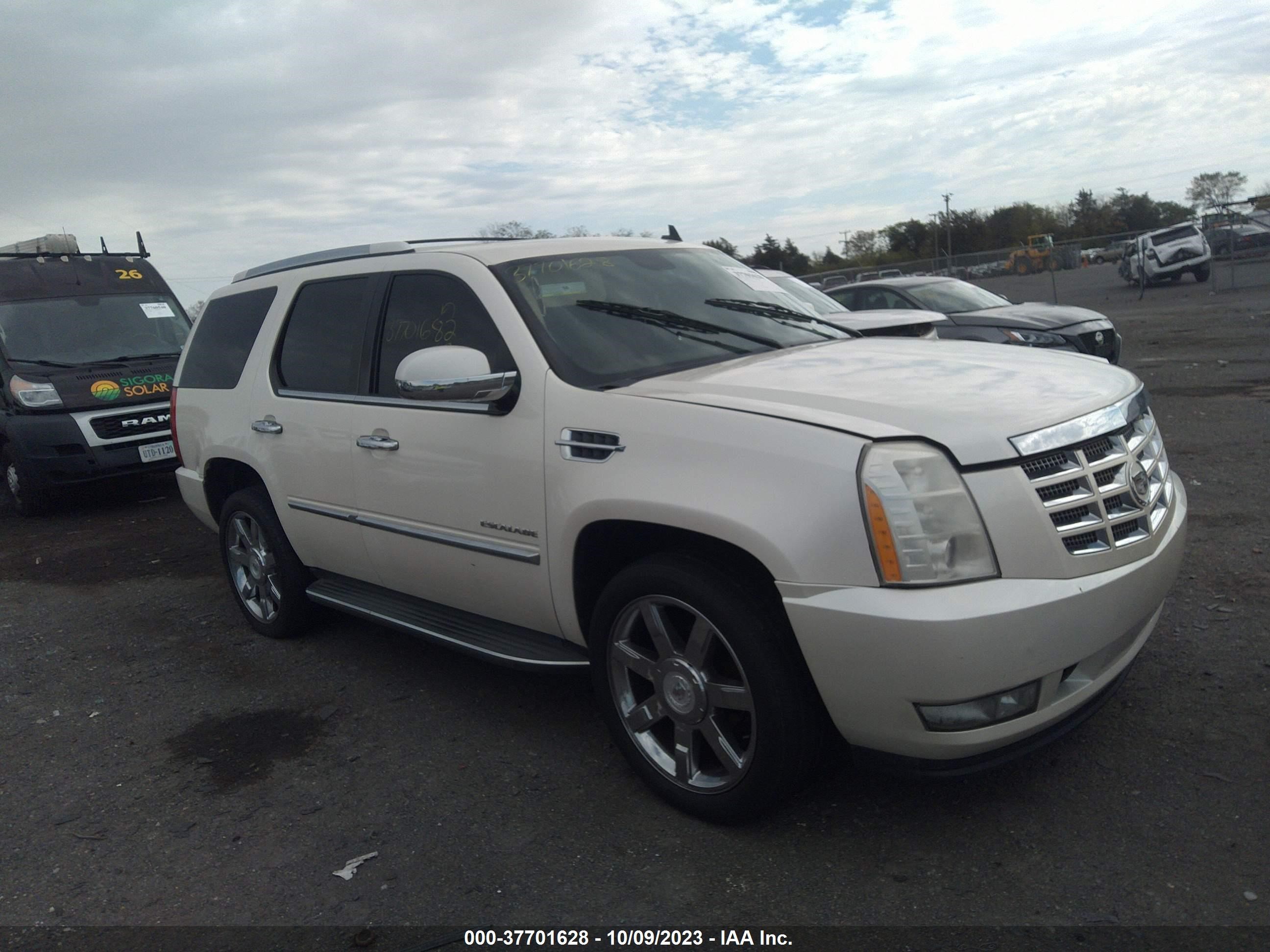 Photo 0 VIN: 1GYUKBEF5AR147832 - CADILLAC ESCALADE 