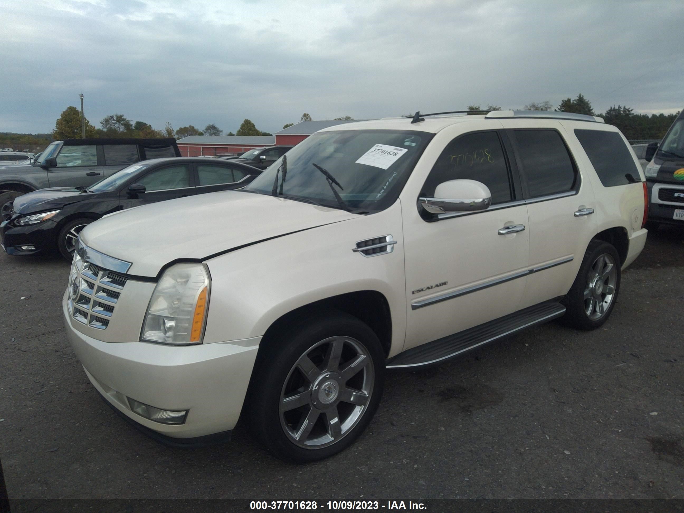 Photo 1 VIN: 1GYUKBEF5AR147832 - CADILLAC ESCALADE 