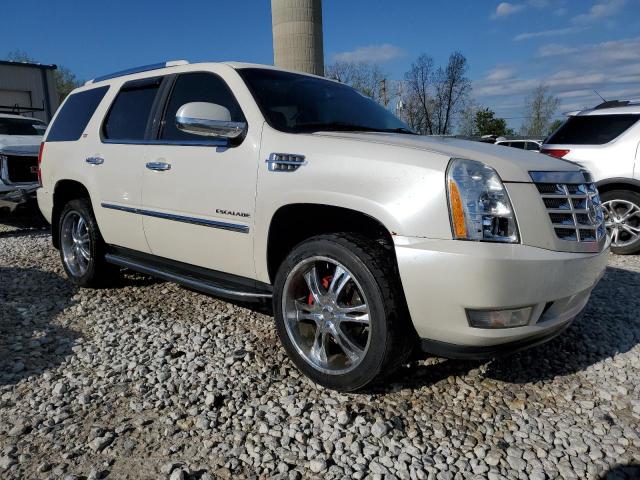 Photo 3 VIN: 1GYUKBEF7AR111009 - CADILLAC ESCALADE 