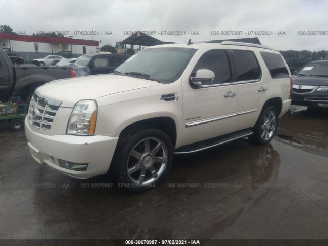 Photo 1 VIN: 1GYUKBEF8AR101377 - CADILLAC ESCALADE 