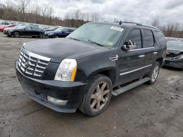 Photo 0 VIN: 1GYUKCEF3AR214014 - CADILLAC ESCALADE P 