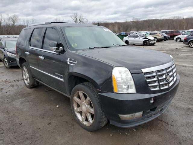 Photo 3 VIN: 1GYUKCEF3AR214014 - CADILLAC ESCALADE P 