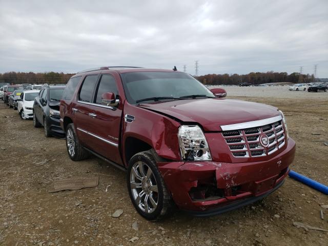 Photo 0 VIN: 1GYUKCEF4AR205984 - CADILLAC ESCALADE P 