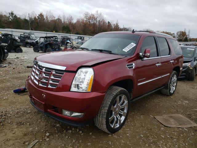 Photo 1 VIN: 1GYUKCEF4AR205984 - CADILLAC ESCALADE P 