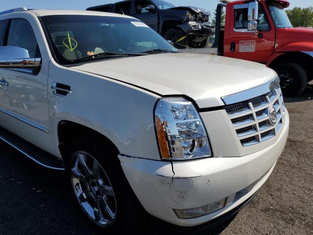 Photo 8 VIN: 1GYUKHEF1AR183052 - CADILLAC ESCALADE E 