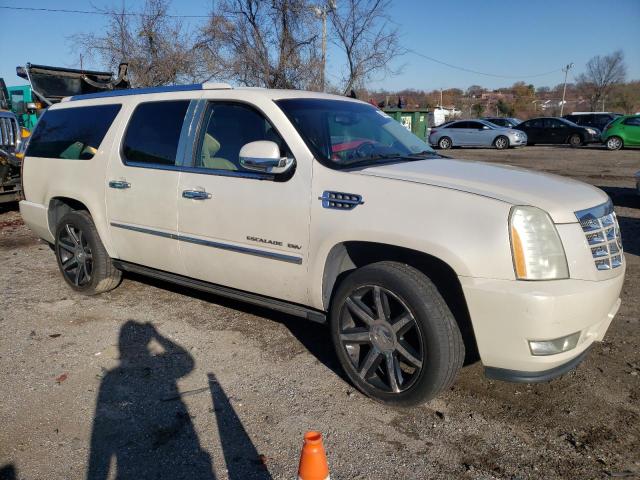 Photo 3 VIN: 1GYUKJEF0AR102422 - CADILLAC ESCALADE E 