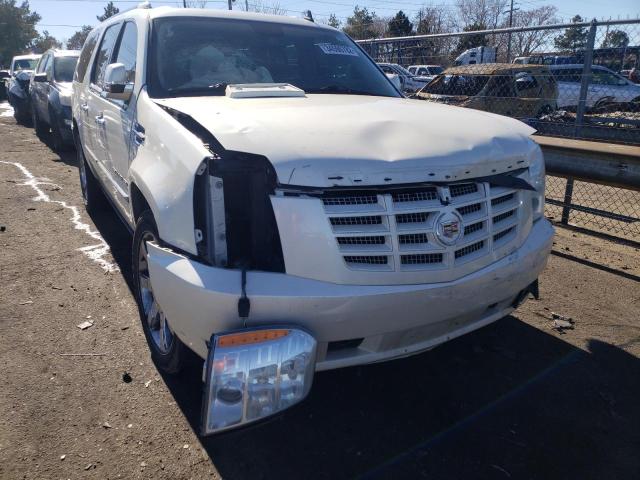 Photo 8 VIN: 1GYUKJEF0AR116790 - CADILLAC ESCALADE E 