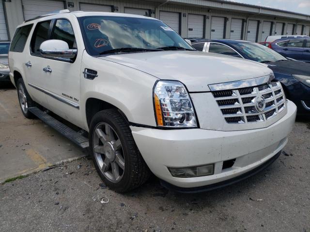 Photo 3 VIN: 1GYUKJEF2AR284737 - CADILLAC ESCALADE E 