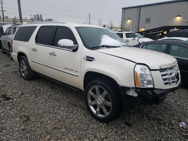 Photo 3 VIN: 1GYUKJEF4AR100706 - CADILLAC ESCALADE E 