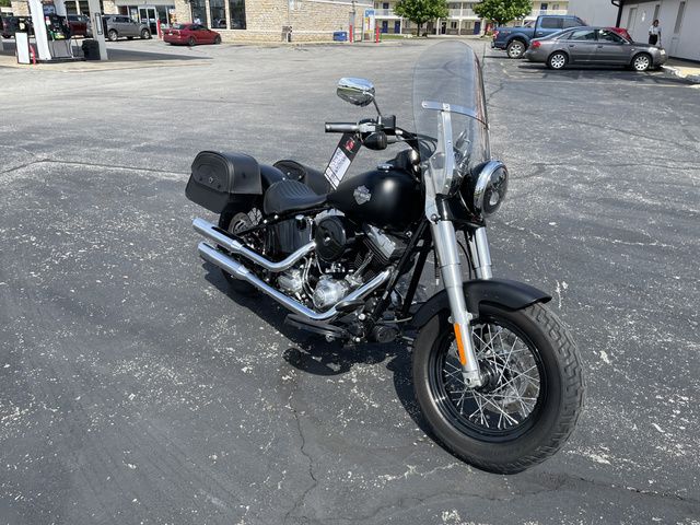 Photo 1 VIN: 1HD1JRV12DB041004 - HARLEY-DAVIDSON FLS 