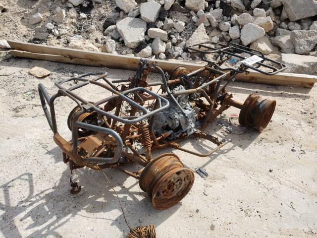 Photo 1 VIN: 1HFTE4409F4103795 - HONDA TRX500 FM 