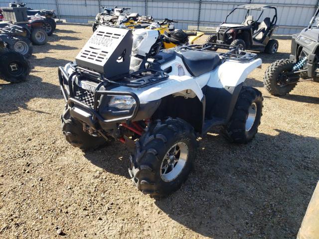 Photo 1 VIN: 1HFTE4594F4000457 - HONDA TRX500 FM 