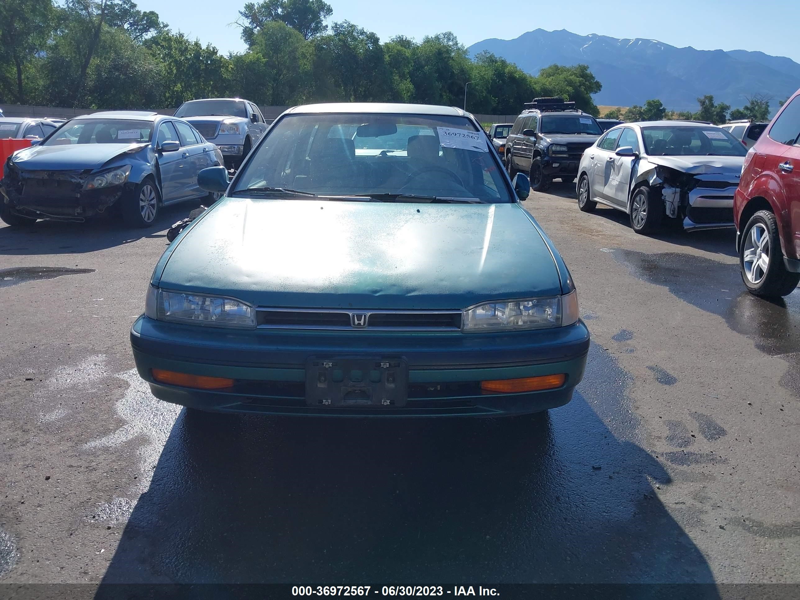 Photo 11 VIN: 1HGCB9858PA008168 - HONDA ACCORD 