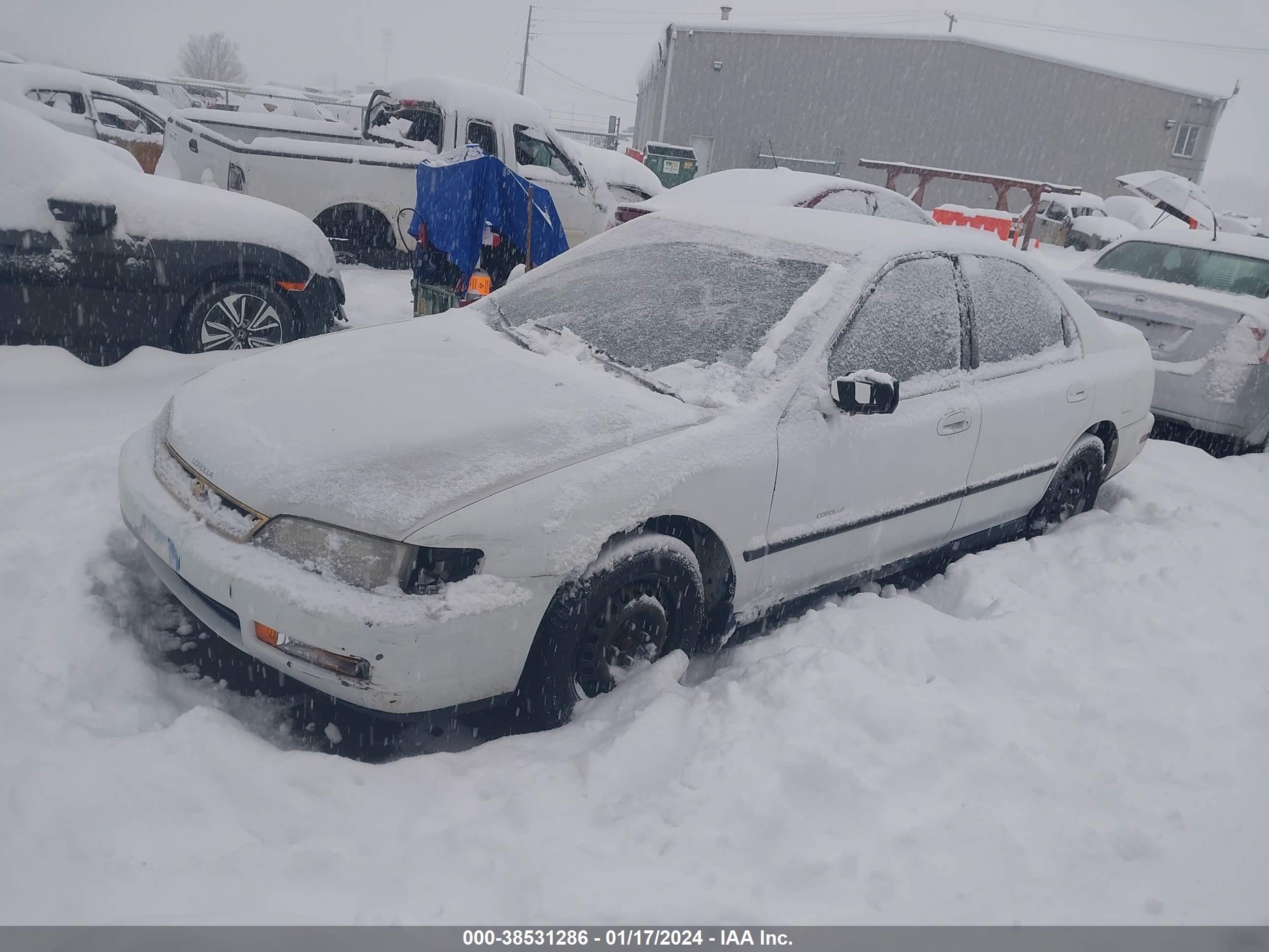 Photo 1 VIN: 1HGCD5536TA256144 - HONDA ACCORD 