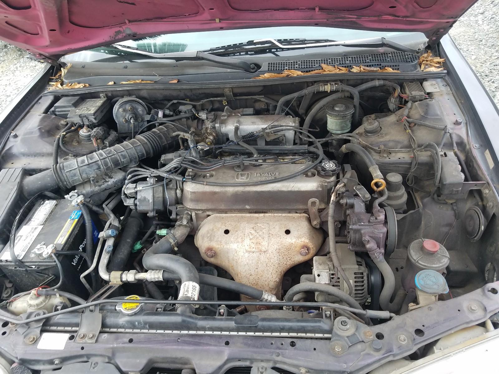 Photo 6 VIN: 1HGCD5604VA190278 - HONDA ACCORD SE 