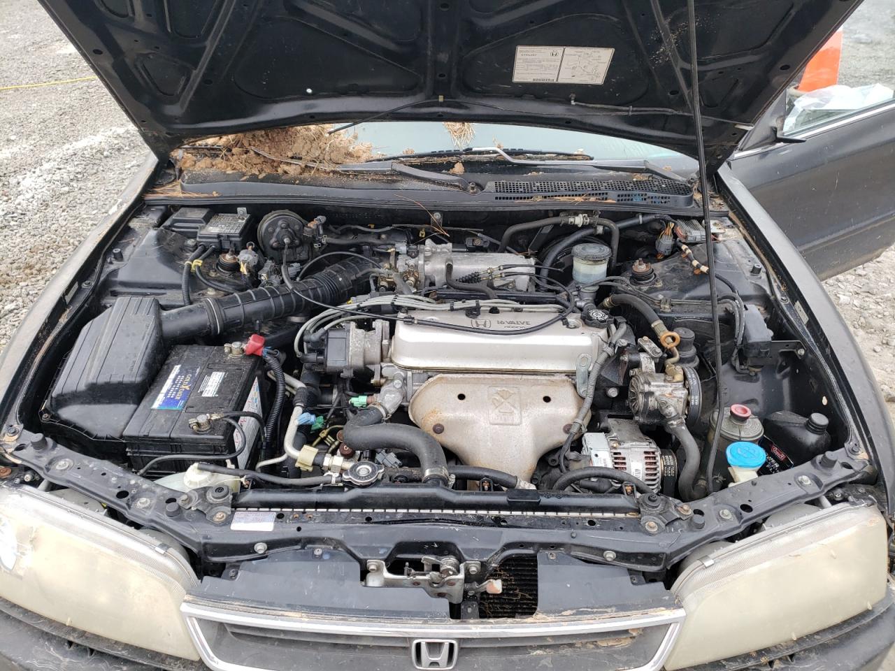 Photo 10 VIN: 1HGCD5636TA301873 - HONDA ACCORD 