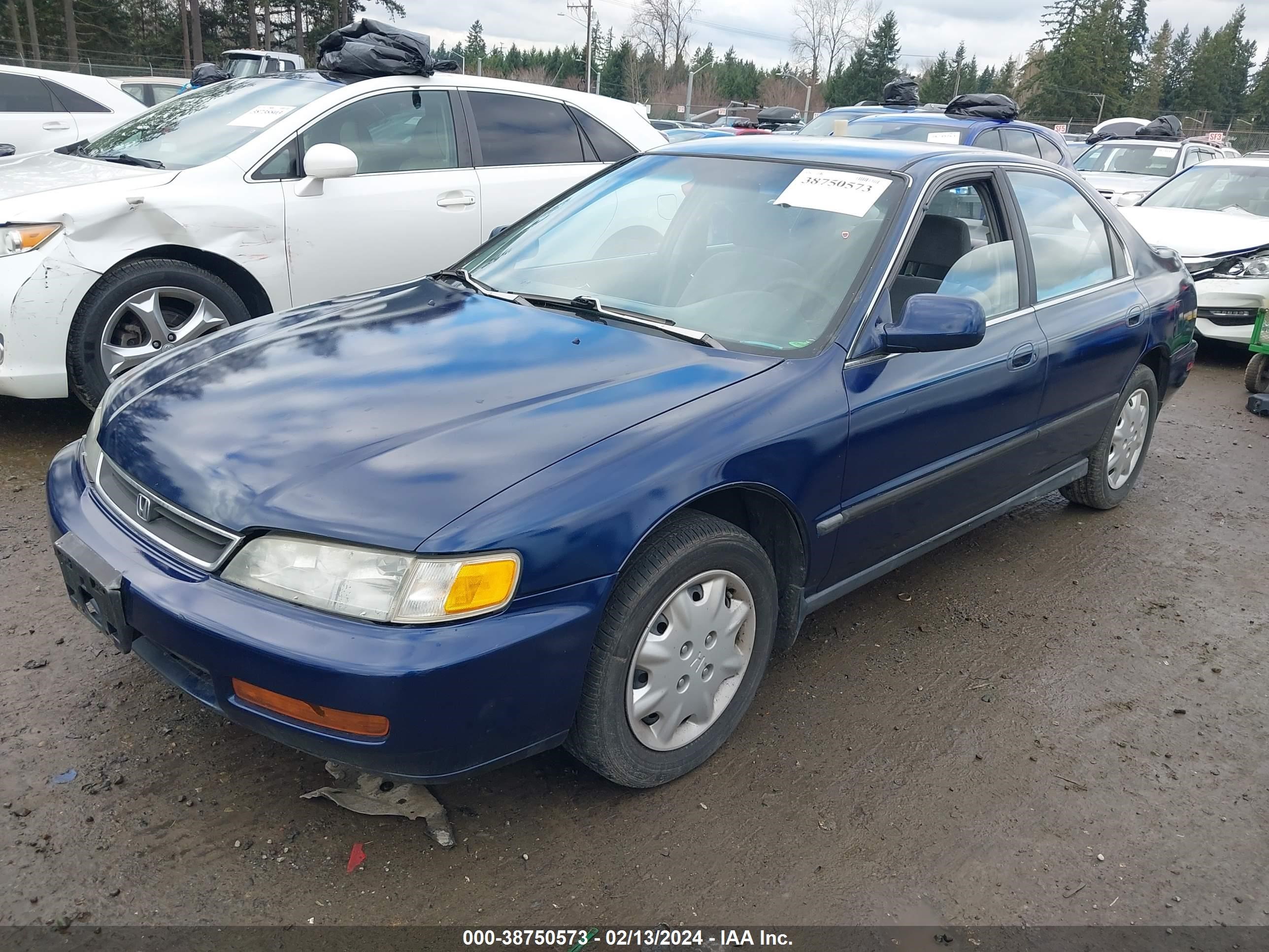 Photo 1 VIN: 1HGCD5638VA261864 - HONDA ACCORD 