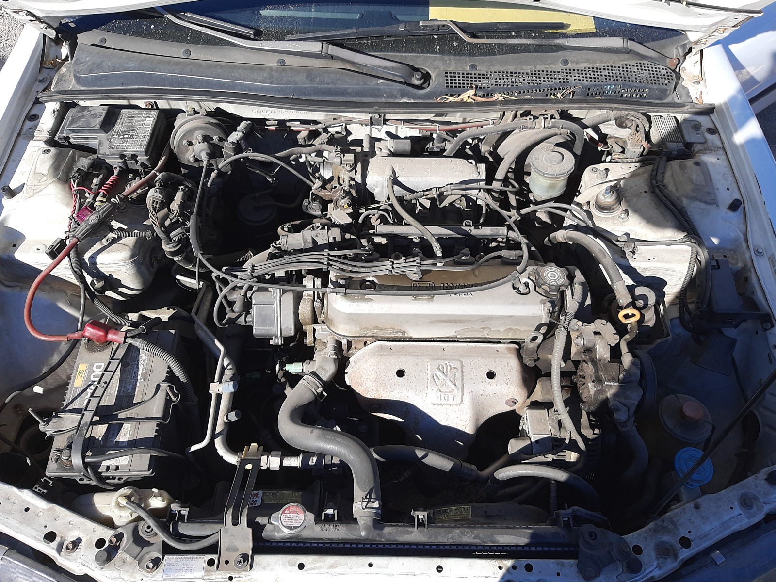 Photo 6 VIN: 1HGCE1825VA006020 - HONDA ACCORD LX 