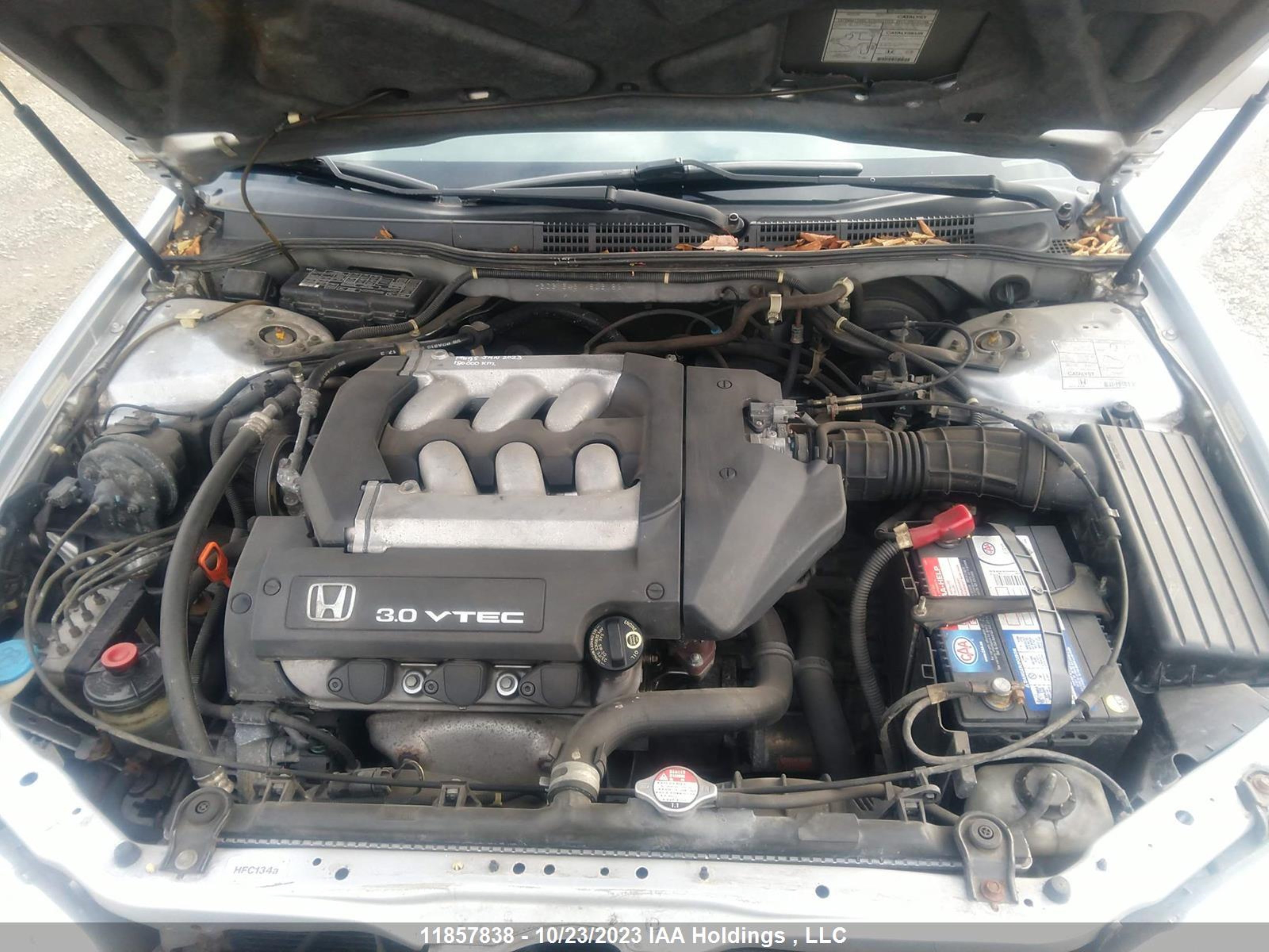 Photo 9 VIN: 1HGCG16451A803182 - HONDA ACCORD 