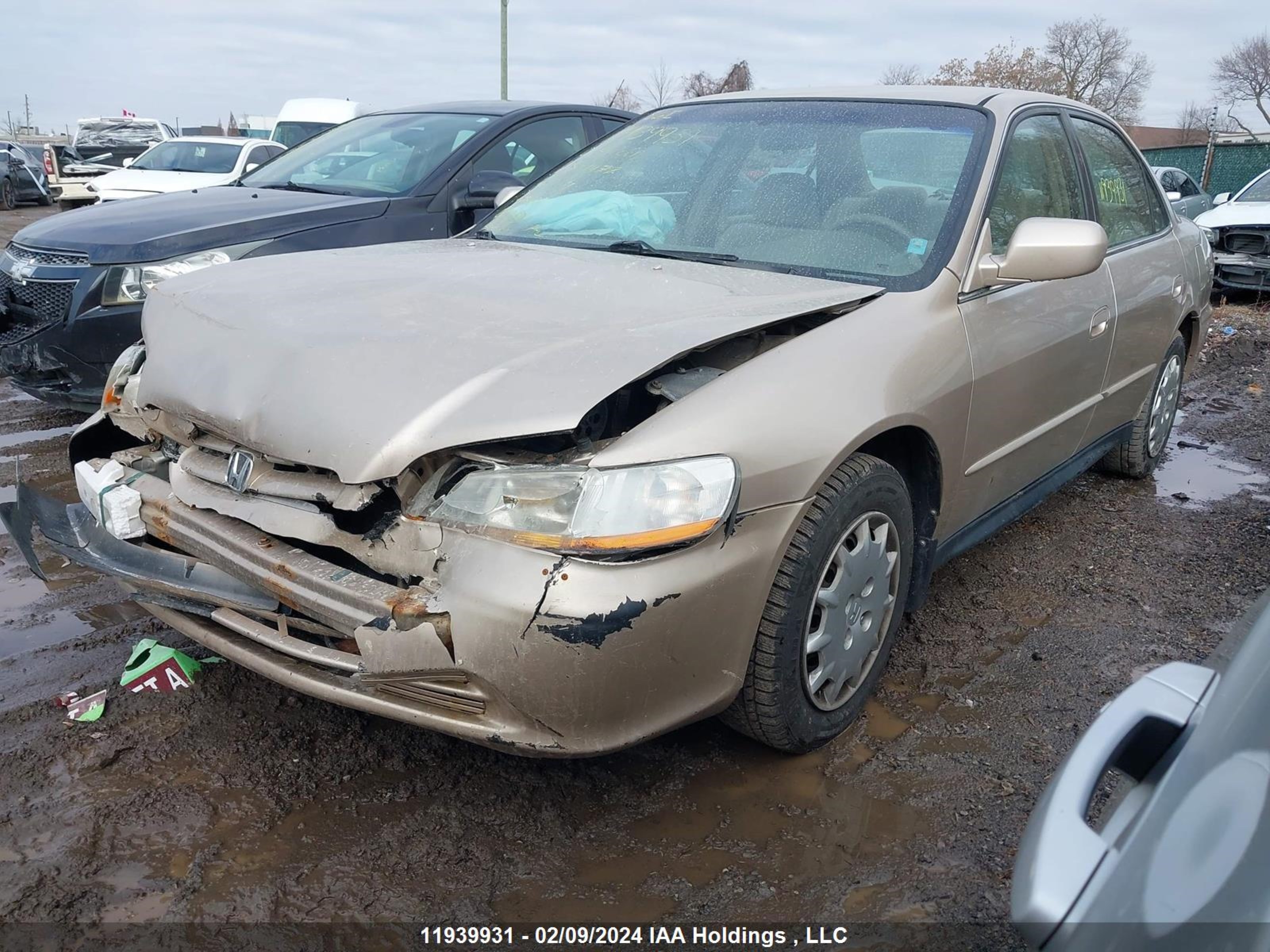 Photo 1 VIN: 1HGCG56431A814477 - HONDA ACCORD 