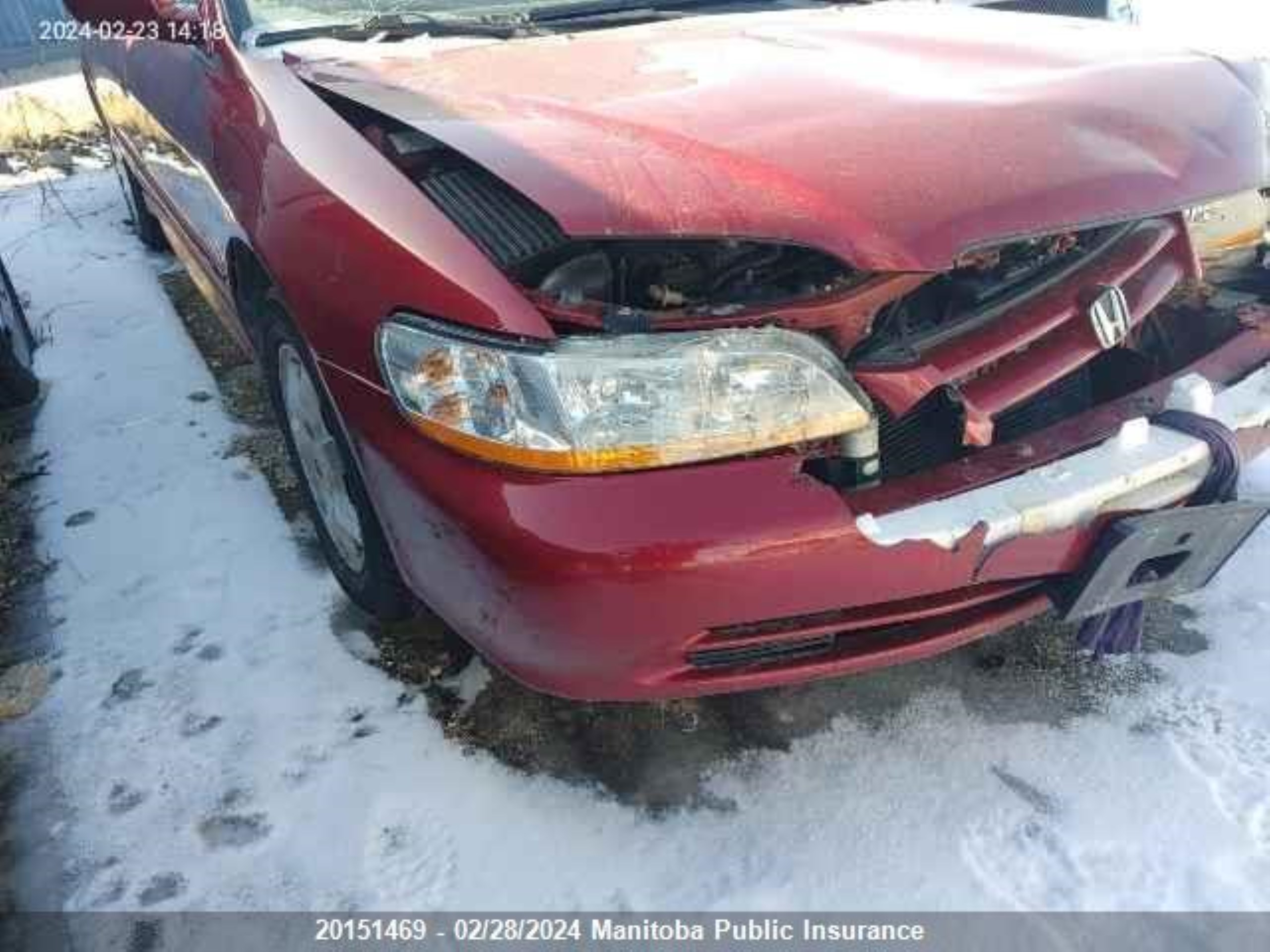 Photo 0 VIN: 1HGCG56611A810087 - HONDA ACCORD 