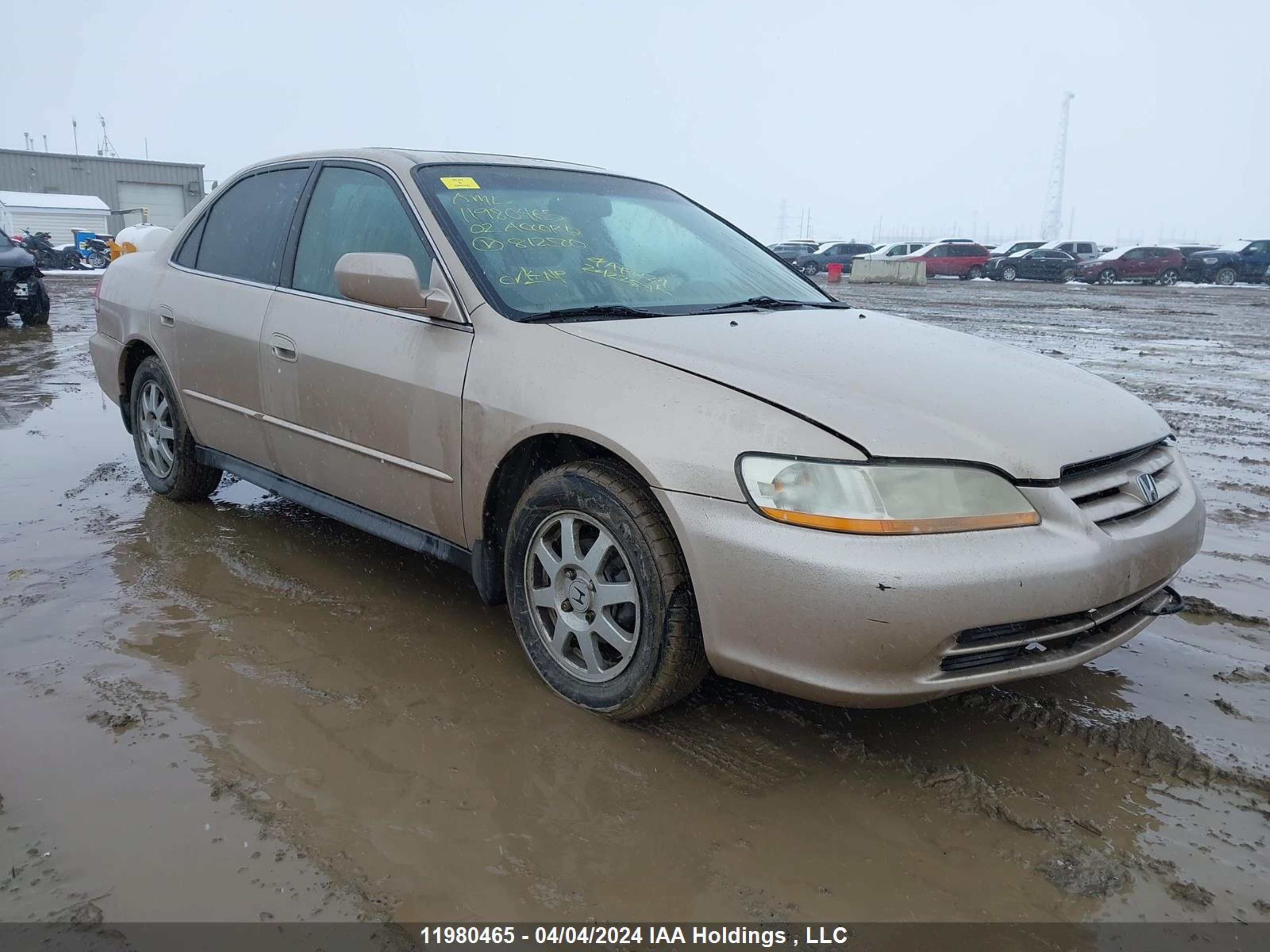 Photo 0 VIN: 1HGCG56712A812500 - HONDA ACCORD 