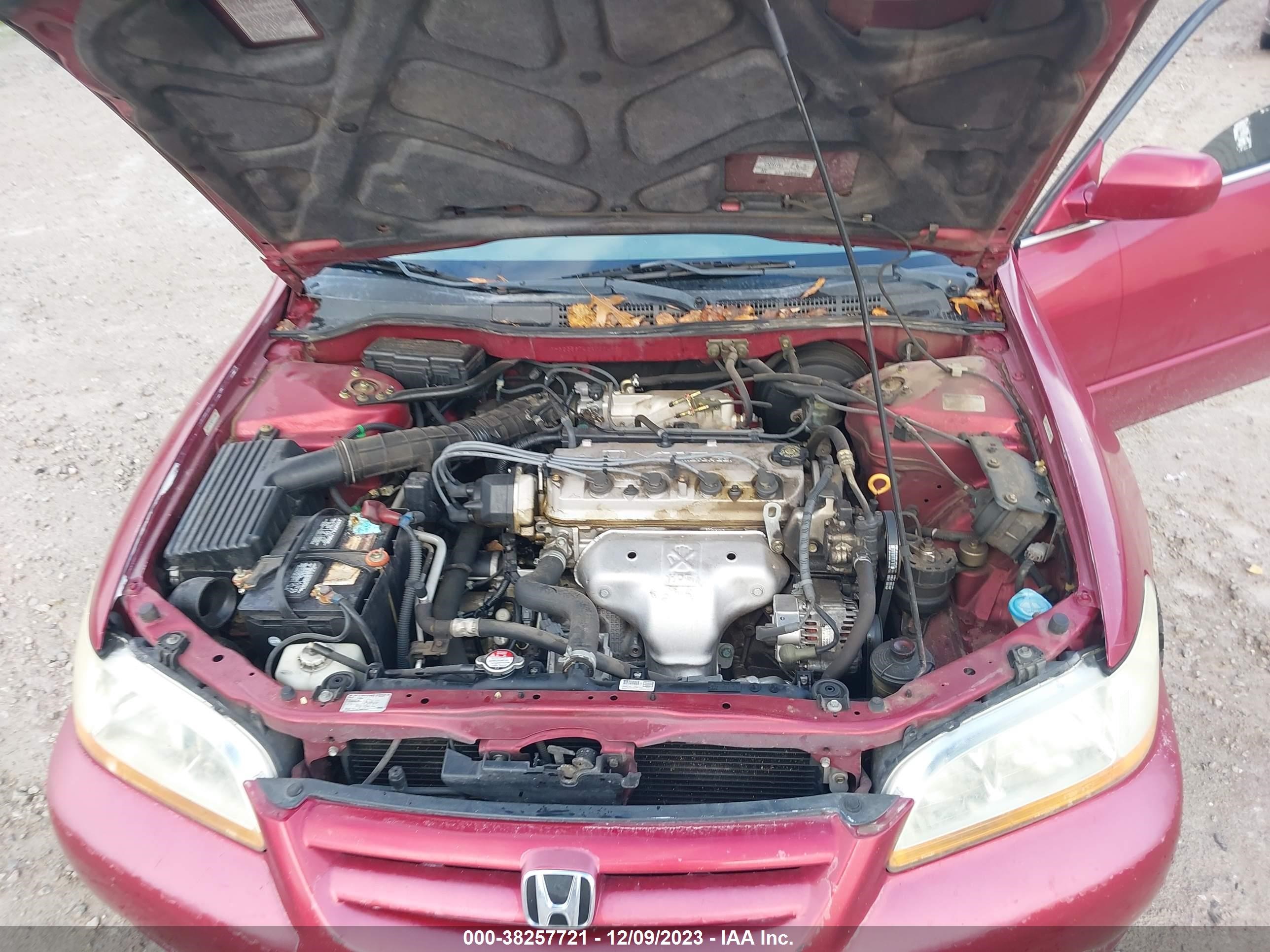 Photo 9 VIN: 1HGCG56742A101499 - HONDA ACCORD 