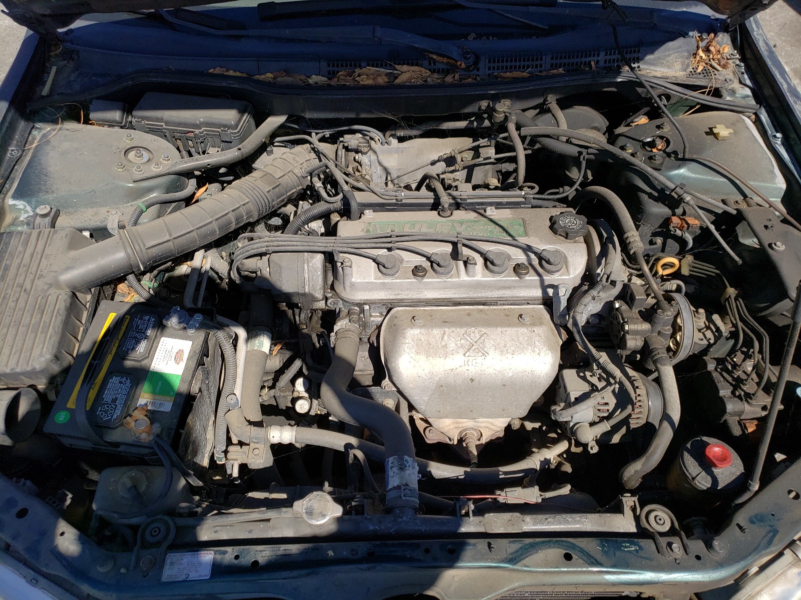 Photo 6 VIN: 1HGCG6693YA044681 - HONDA ACCORD SE 