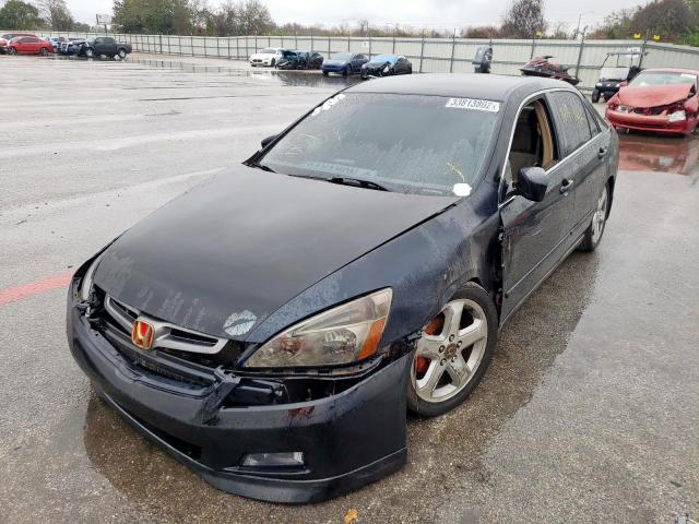 Photo 1 VIN: 1HGCM55495A079407 - HONDA ACCORD 