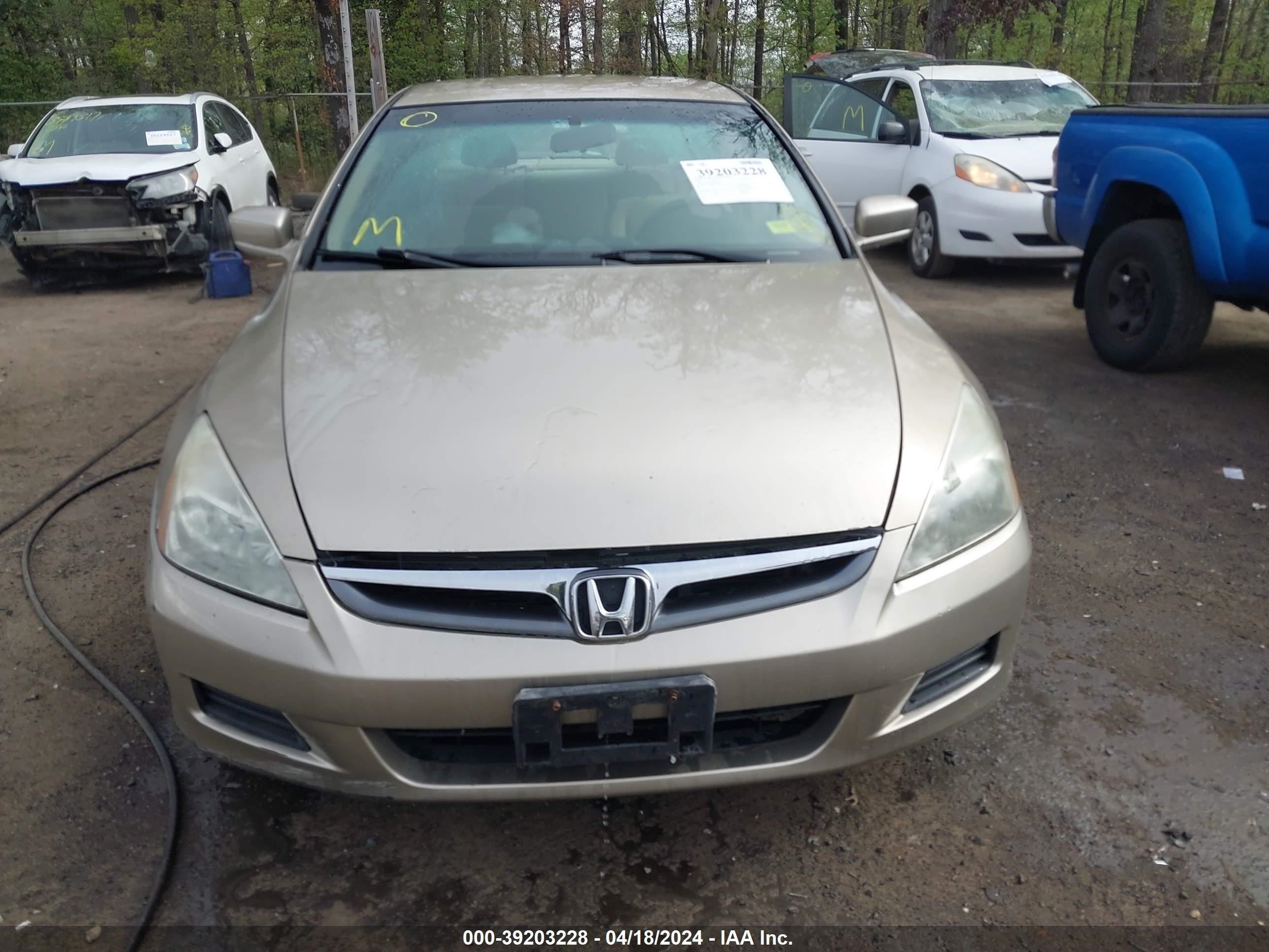 Photo 11 VIN: 1HGCM56166A151024 - HONDA ACCORD 