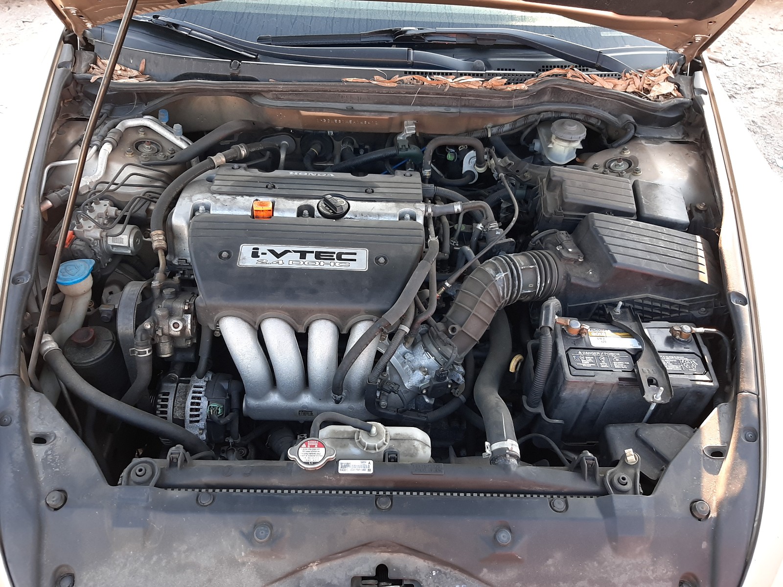 Photo 6 VIN: 1HGCM561X5A146410 - HONDA ACCORD DX 