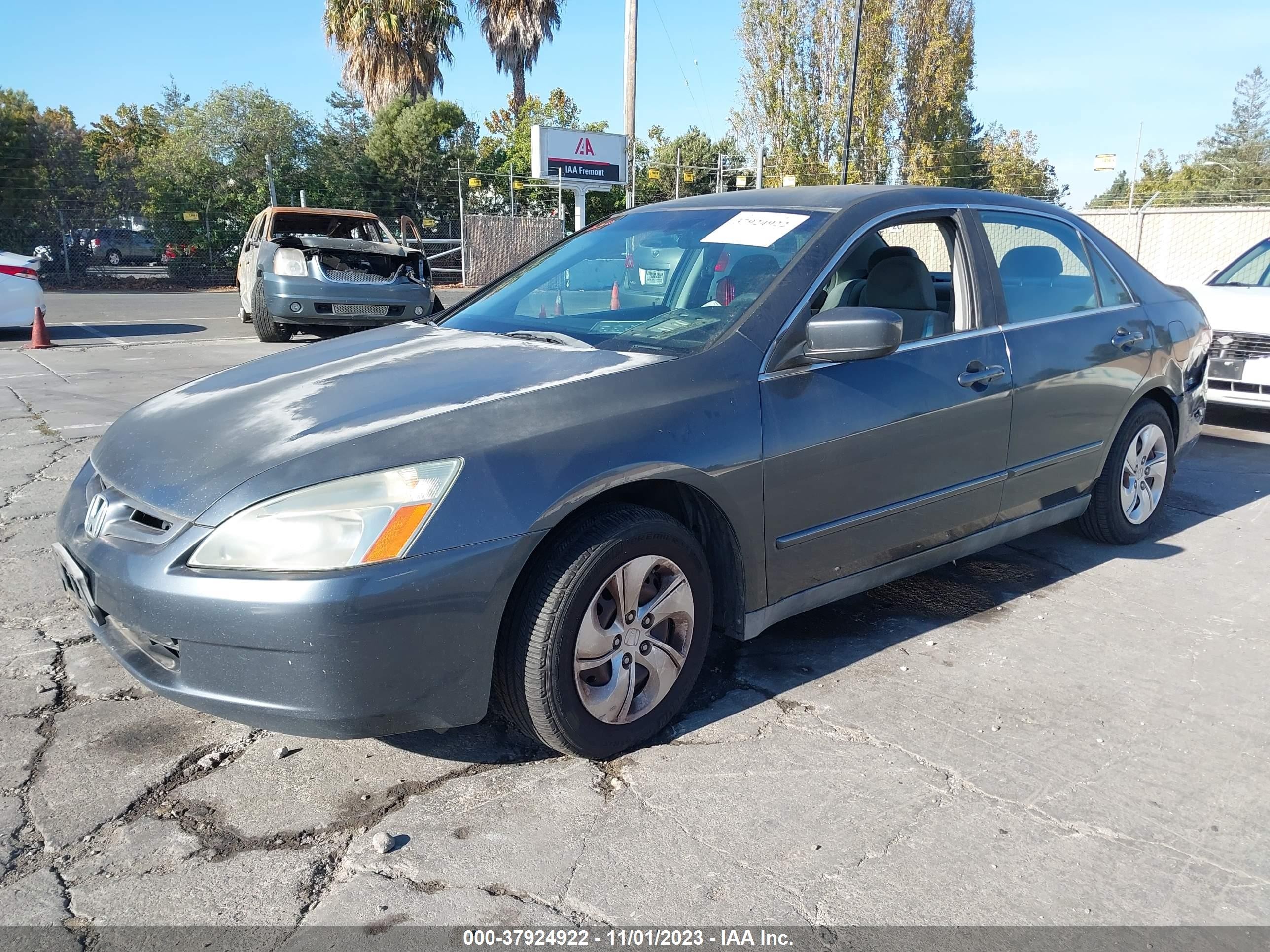 Photo 1 VIN: 1HGCM56314A177206 - HONDA ACCORD 