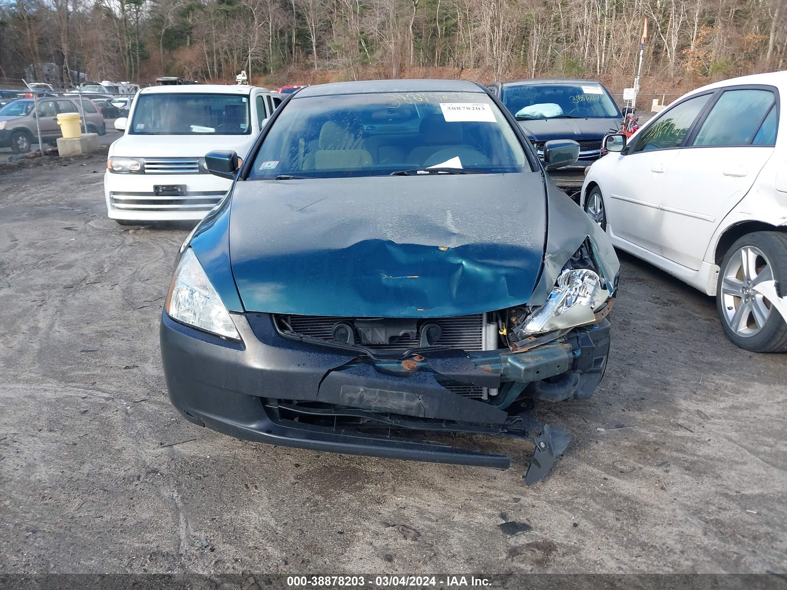 Photo 11 VIN: 1HGCM56323A052858 - HONDA ACCORD 